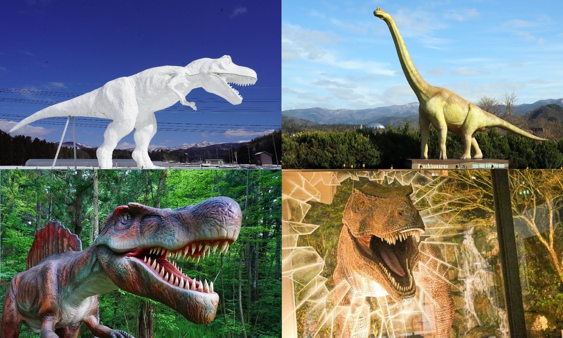 福井県の恐竜スポット16選!恐竜博物館だけじゃない!福井の恐竜スポット・モニュメントをご紹介します。