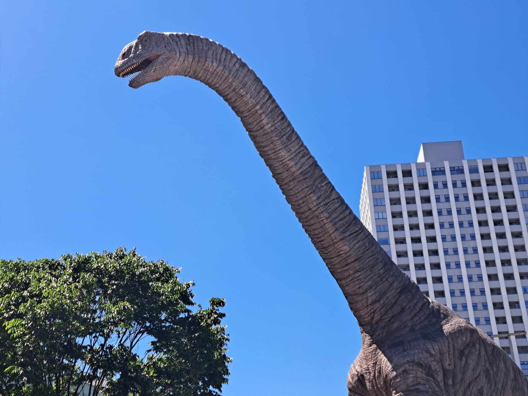 福井が登場する旅行番組ではマストで登場します