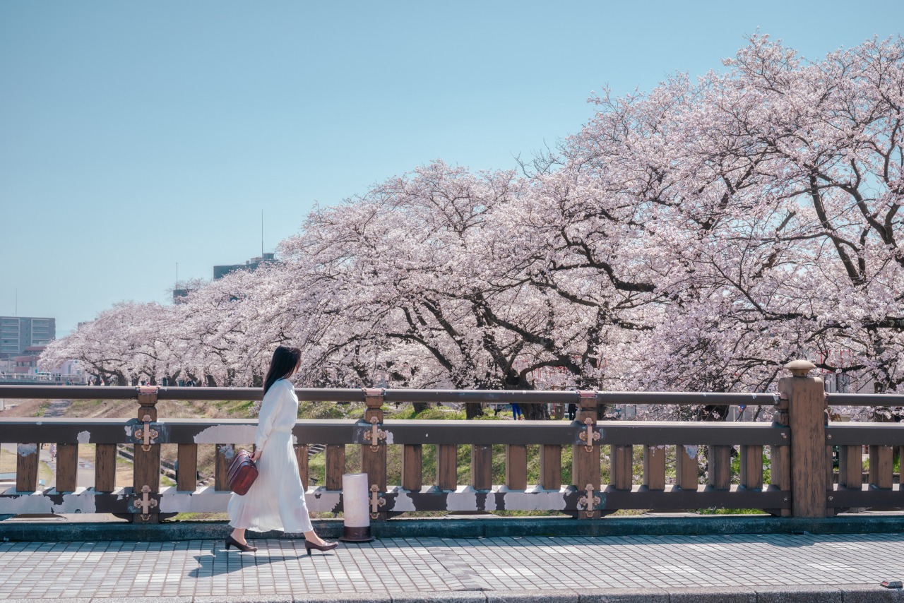 photo ©tomosaki
