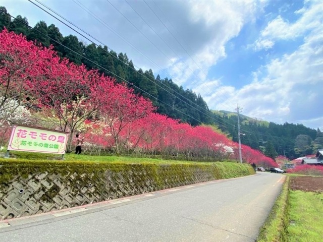 殿下　花ももの里公園